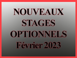 Stages Optionnels
