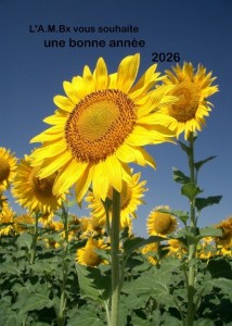 voeux-AMBx-2026